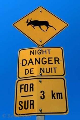 Photo: 
Funny Sign Moose Crossing