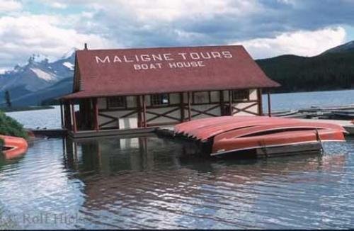 Photo: 
Maligne Lake