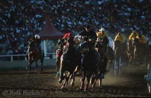 Photo: 
horse racing