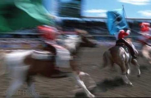 Photo: 
calgary stampede