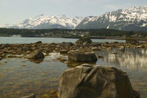 Photo: 
haines alaska