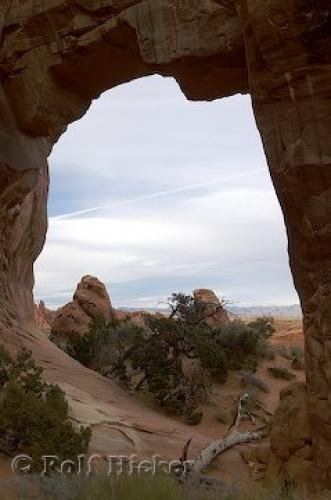 Photo: 
Arches National Park Pine Tree Arch
