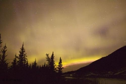 Photo: 
Northern lights canada