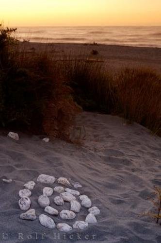 Photo: 
Gillespies Beach Art Sunset West Coast New Zealand