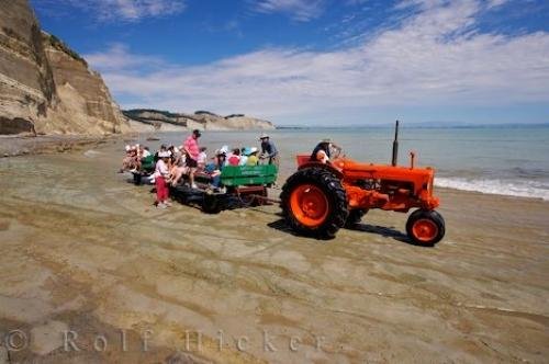 Photo: 
Beach Trips New Zealand