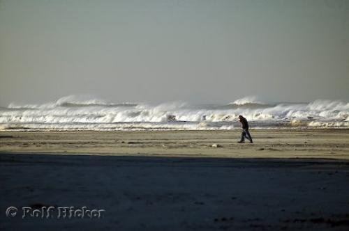 Photo: 
beach walk
