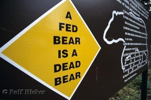 Photo: 
Bear Signs Wells Gray Provincial Park