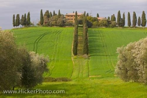 Photo: 
Beautiful Tuscan Villa Landscape Siena Tuscany Italy