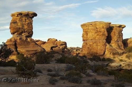 Photo: 
big spring canyon