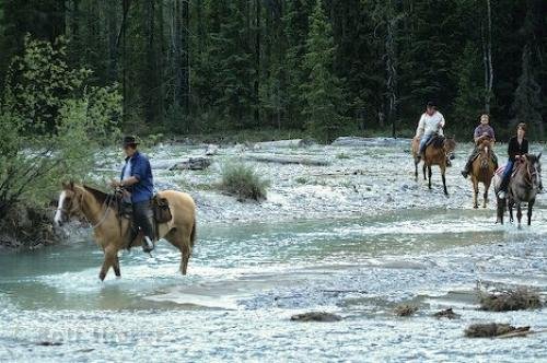 Photo: 
Blaeberry Valley BC