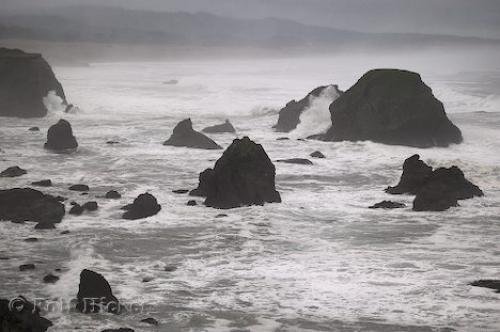 Photo: 
California Coast