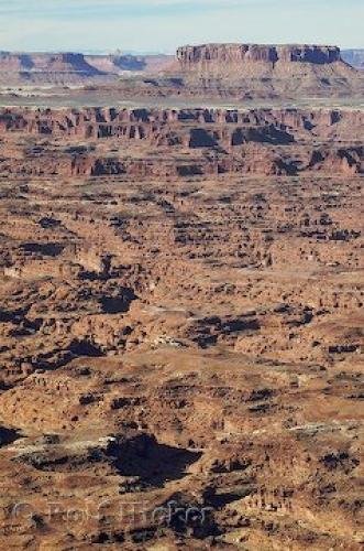 Photo: 
Canyonlands National Park Needles Overlook