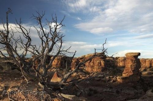 Photo: 
Canyonlands Photos