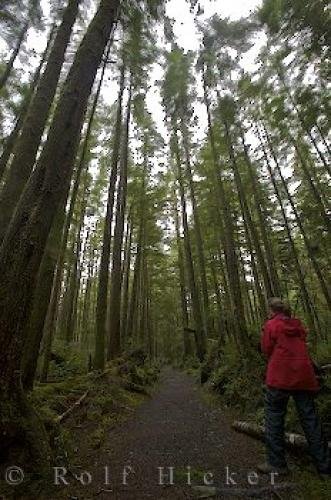 Photo: 
Cape Scott Trail