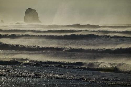 Photo: 
cape kiwanda