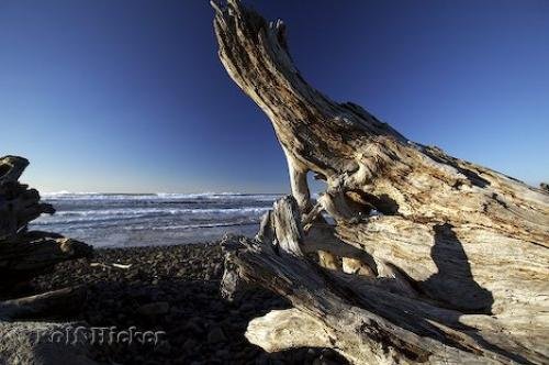 Photo: 
Cape Meares Beach Oregon