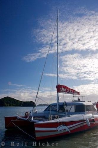 Photo: 
Catamaran Sailboat Paihia