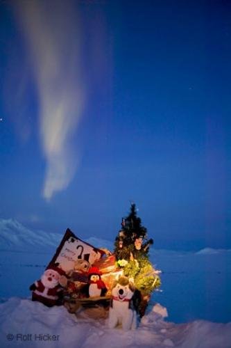 Photo: 
Christmas Aurora Borealis