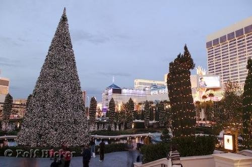 Photo: 
Christmas Packages Las Vegas Nevada