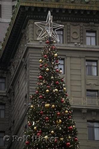 Photo: 
Christmas Tree Star