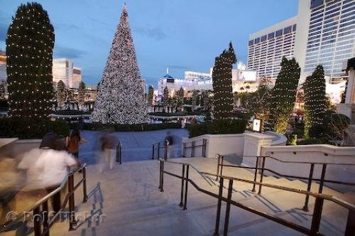 Photo: 
Christmas Vegas