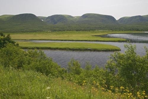 Photo: 
Codroy Valley