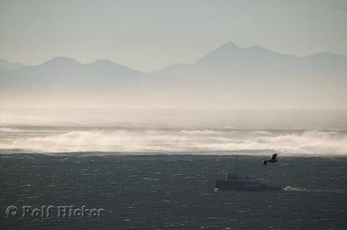 Photo: 
columbia river mouth