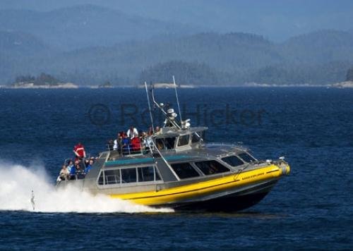 Photo: 
naiad explorer whale watching