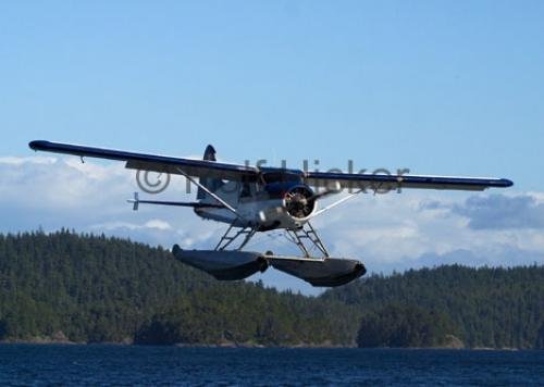 Photo: 
Beaver Airplane Photo