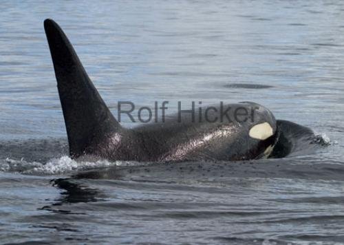 Photo: 
CRW 0576