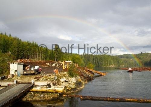 Photo: 
Logging Camp British Columbia Coast