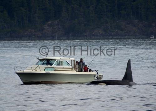 Photo: 
coast of bc