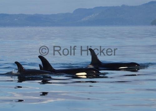 Photo: 
CRW 3748