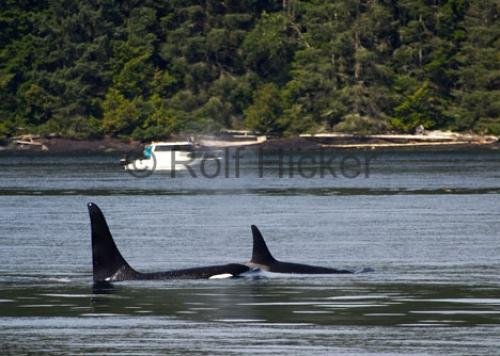 Photo: 
CRW 3861