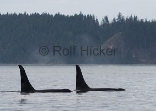 Photo: 
CRW 4048