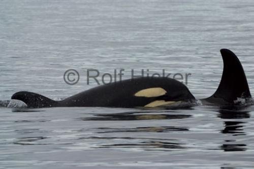 Photo: 
CRW 4054