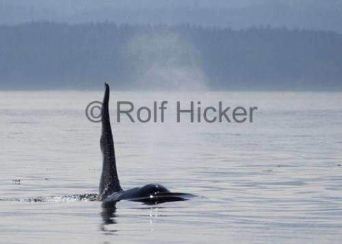 Photo: 
CRW 4128