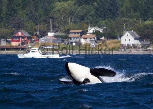 Photo: 
CRW 5367