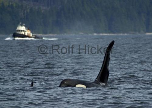 Photo: 
CRW 5740
