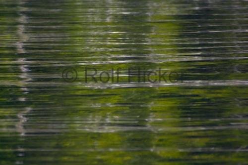 Photo: 
water reflection