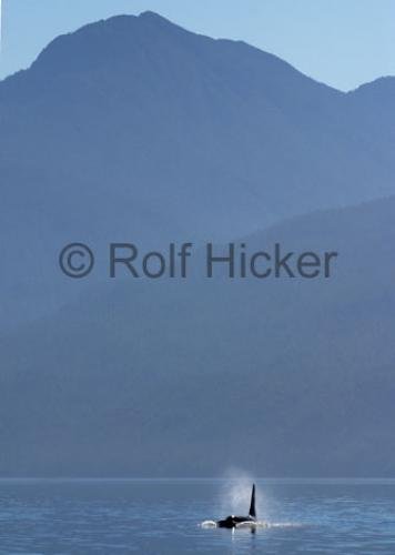 Photo: 
CRW 7547