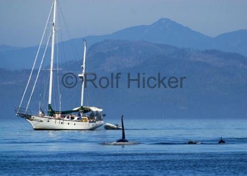 Photo: 
CRW 7590
