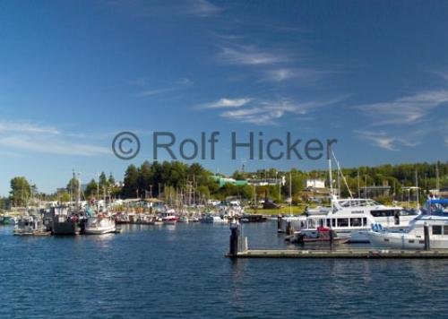 Photo: 
port mcneill marina