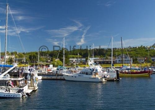 Photo: 
port mcneill harbour