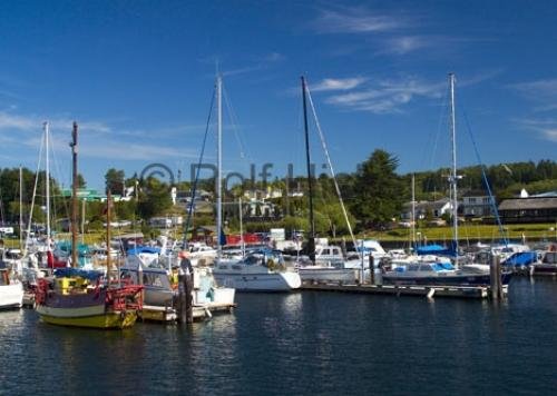 Photo: 
Harbour In Port Mcneill