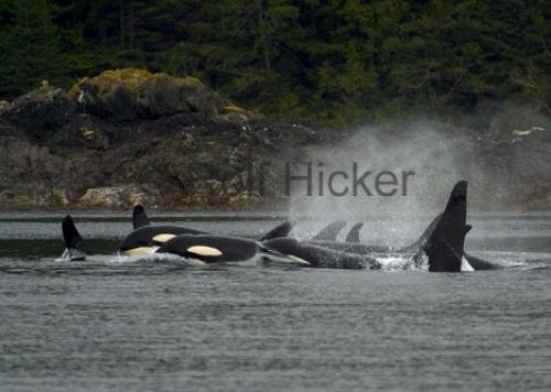 Photo: 
CRW 8029