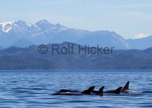 Photo: 
CRW 9198