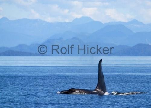 Photo: 
CRW 9228