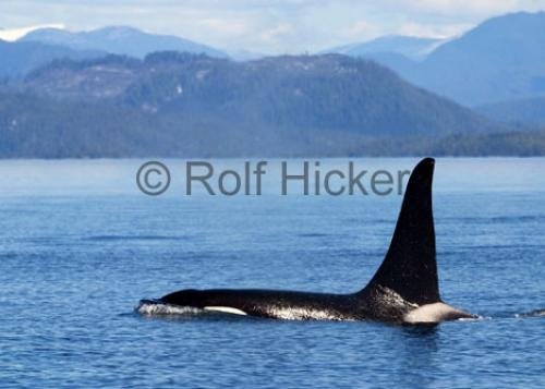 Photo: 
CRW 9233