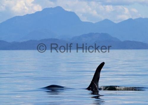 Photo: 
CRW 9259
